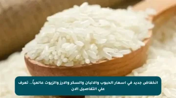انخفاض جديد في أسعار الحبوب والألبان والسكر والأرز والزيوت عالمياً.. تعرف على التفاصيل الآن